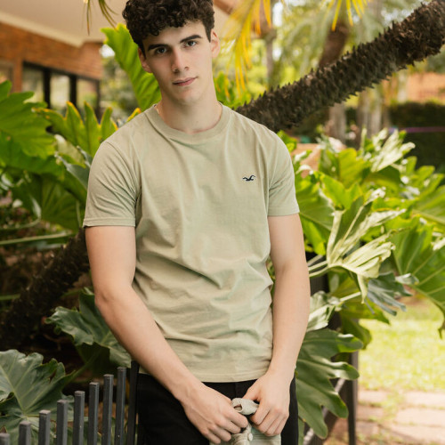 REMERA HOLLISTER REGULAR FIT VERDE MUSGO