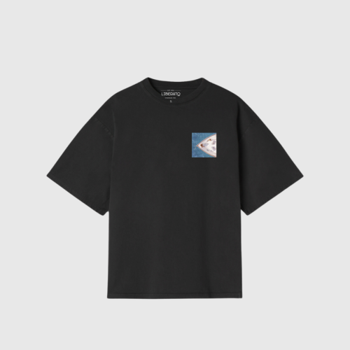 REMERA LIBERATO BASICS OVERSIZE NEGRA SUMMER DECK
