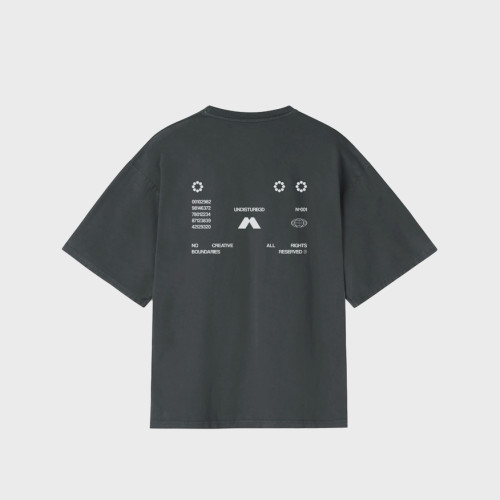 REMERA OVERSIZE UNDISTURB3D NO BOUNDARIES 250 GMS GREY
