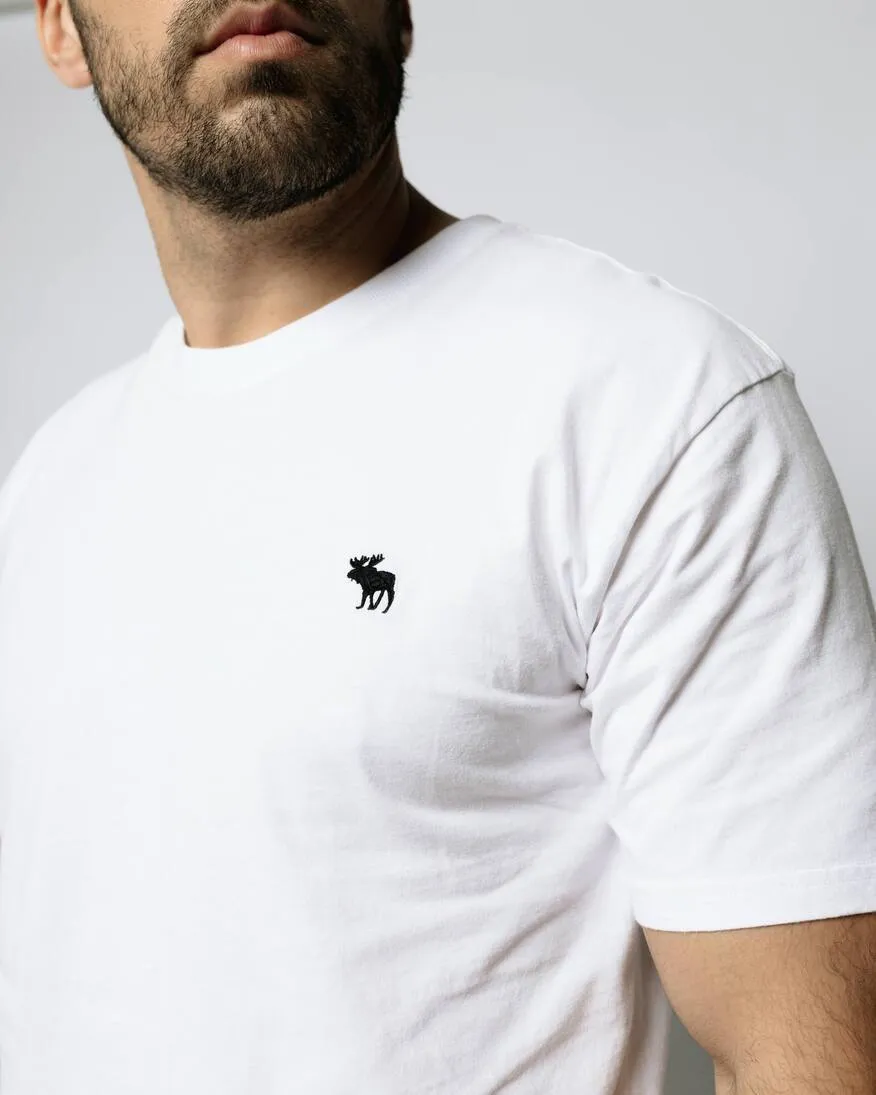 REMERA ABERCROMBIE OVERSIZE BLANCA