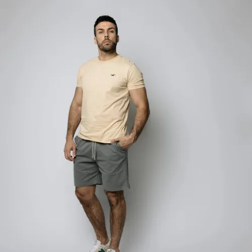 REMERA HOLLISTER REGULAR FIT BEIGE