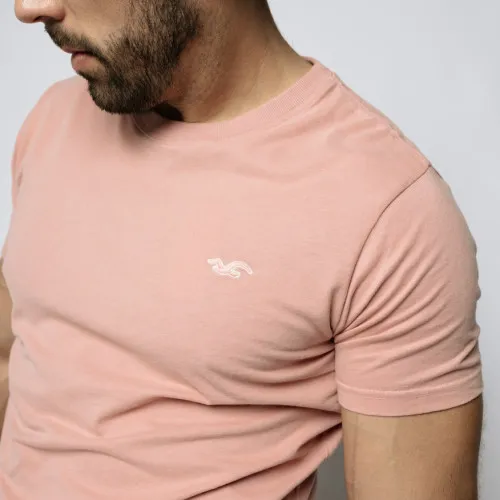 REMERA HOLLISTER REGULAR FIT ROSADA