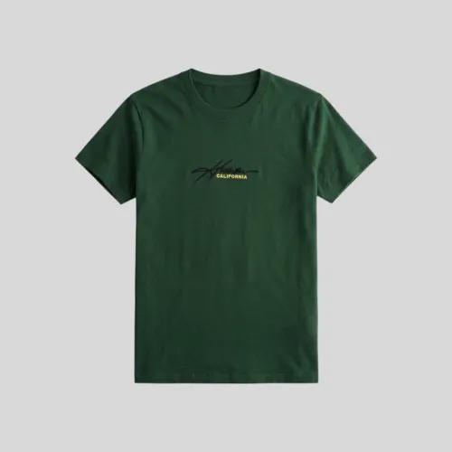 REMERA HOLLISTER REGULAR VERDE