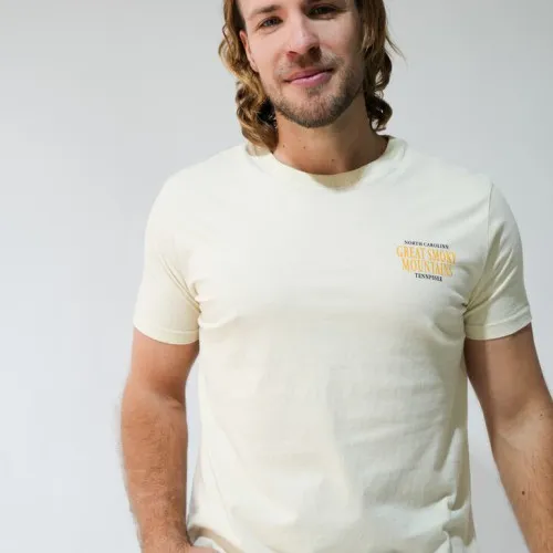 REMERA HOLLISTER REGULAR FIT BEIGE GREAT SMOKY MOUNTAINS