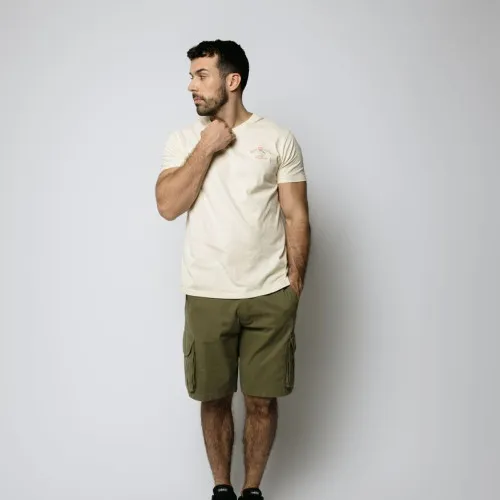 REMERA HOLLISTER REGULAR FIT BEIGE THE ROCKY MOUNTAINS