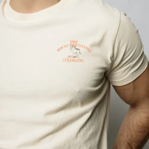 REMERA HOLLISTER REGULAR FIT BEIGE THE ROCKY MOUNTAINS