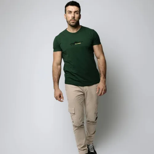 REMERA HOLLISTER REGULAR VERDE