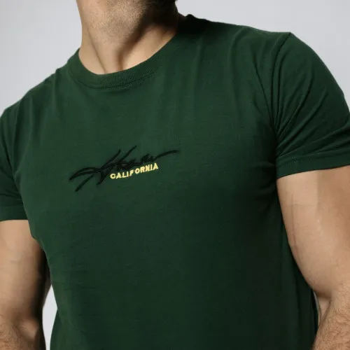 REMERA HOLLISTER REGULAR VERDE